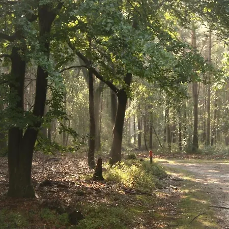 Σπίτι διακοπών Calming Hideaway In Veluwe Voorthuizen