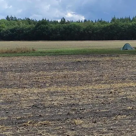 Calming Hideaway In Veluwe Σπίτι διακοπών