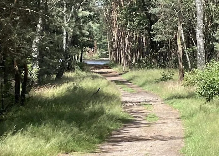 Calming Hideaway In Veluwe Voorthuizen