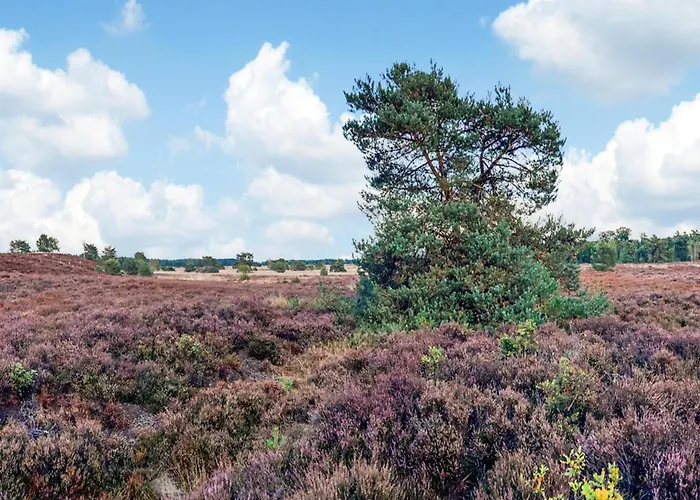 Сasa de vacaciones Calming Hideaway In Veluwe *