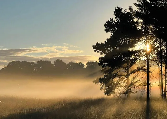 Сasa de vacaciones Calming Hideaway In Veluwe *