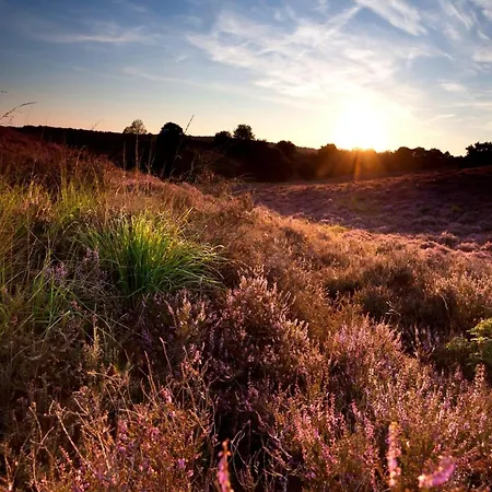 Calming Hideaway In Veluwe Nyaraló Voorthuizen