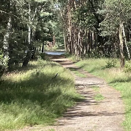 Calming Hideaway In Veluwe Voorthuizen