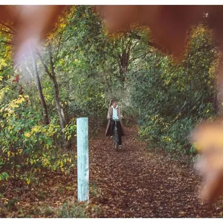 Calming Hideaway In Veluwe *