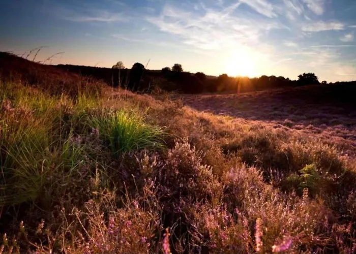 Tatil Evi Calming Hideaway In Veluwe