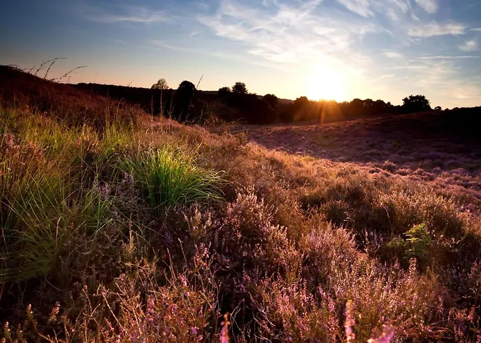 Calming Hideaway In Veluwe Tatil Evi Voorthuizen
