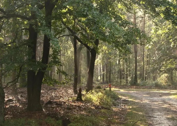 Tatil Evi Calming Hideaway In Veluwe Voorthuizen