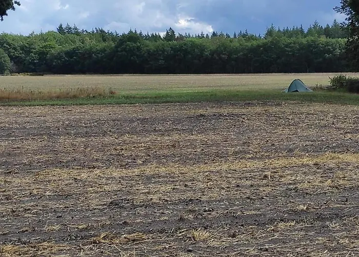 Calming Hideaway In Veluwe Tatil Evi